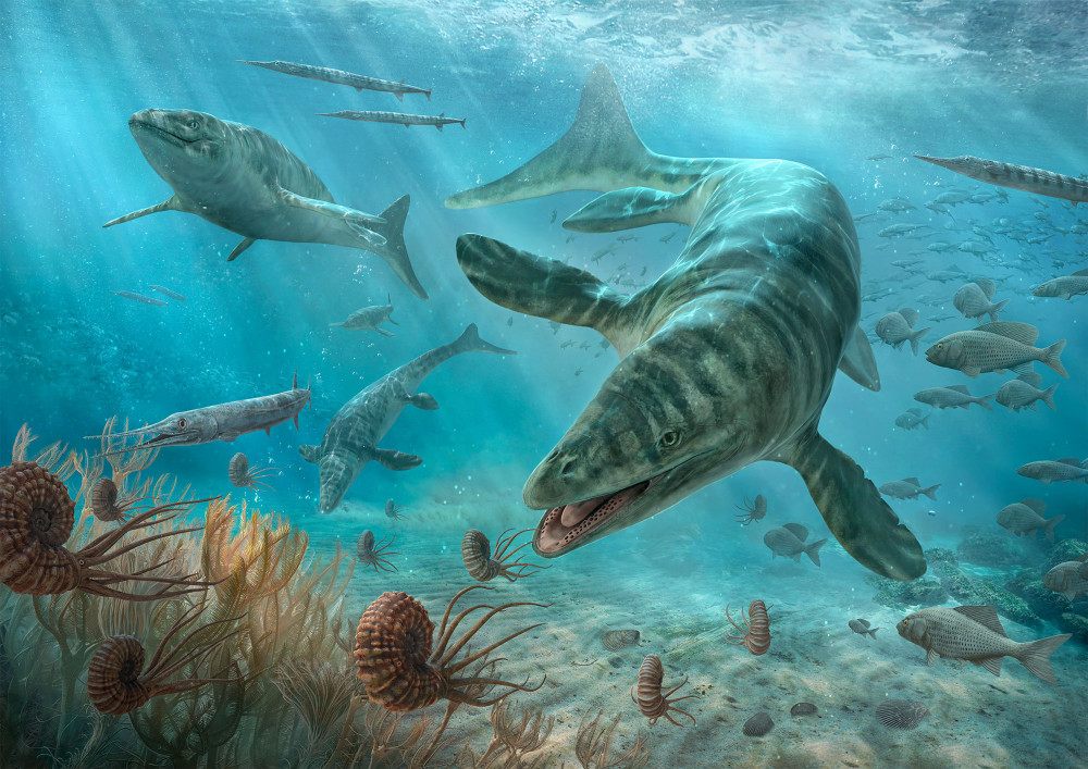 Omphalosaurus bei der Jagd.